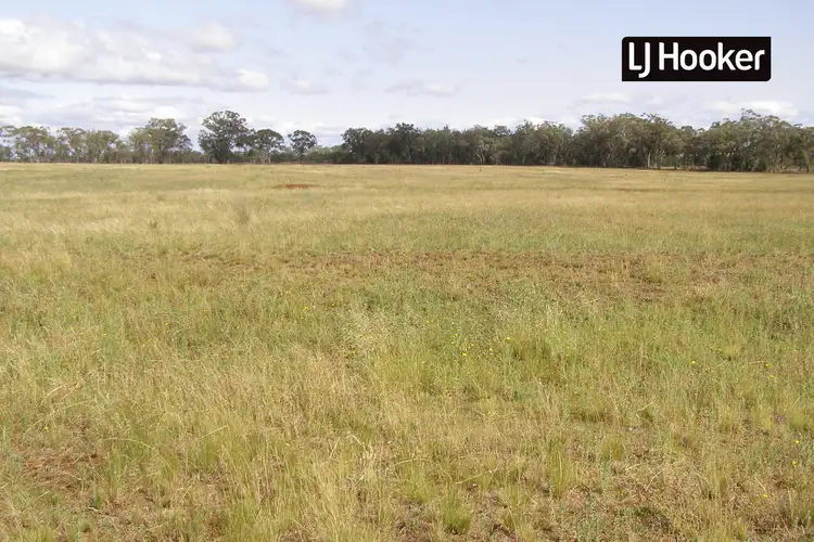 Third view of Homely rural property listing, Mahers Lane, Inverell NSW 2360