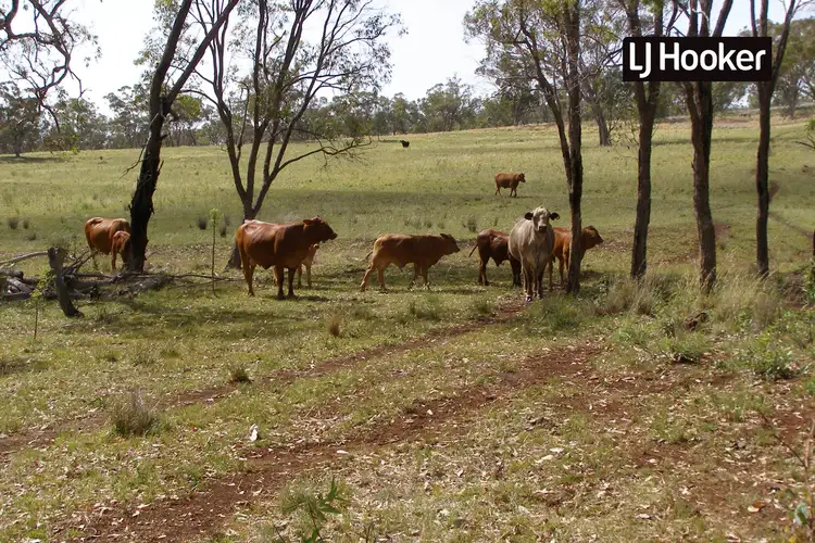 Fourth view of Homely rural property listing, Mahers Lane, Inverell NSW 2360