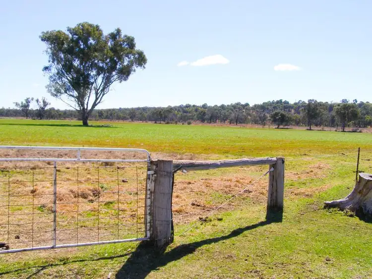 Sixth view of Homely rural property listing, 404 New Valley Road, Inverell NSW 2360