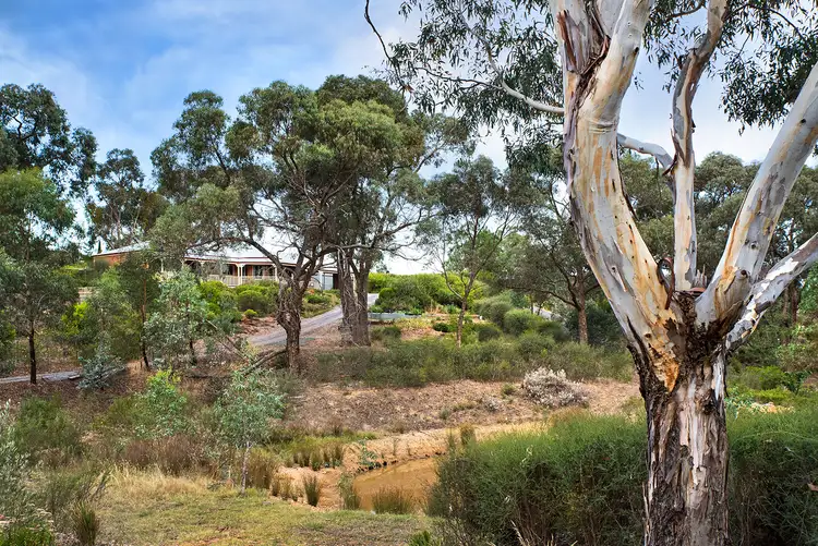 Second view of Homely house listing, 1 Cooper Court, Campbells Creek VIC 3451