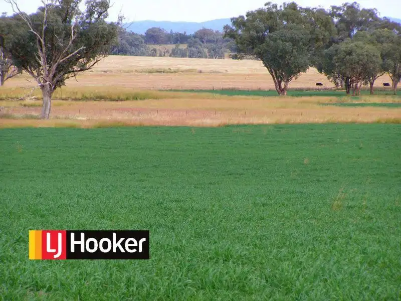 Main view of Homely rural property listing, 92 Petoria Park Road, Delungra NSW 2403