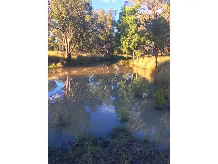 Second view of Homely rural property listing, 92 Petoria Park Road, Delungra NSW 2403