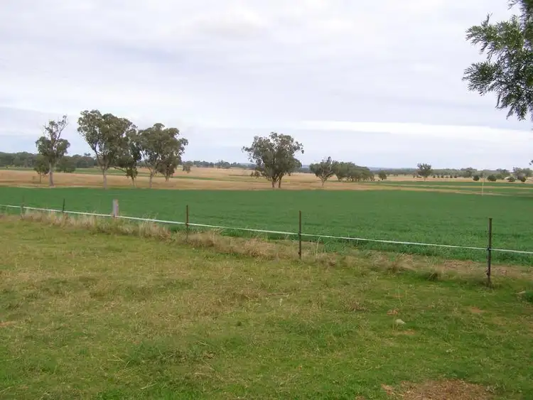 Third view of Homely rural property listing, 92 Petoria Park Road, Delungra NSW 2403