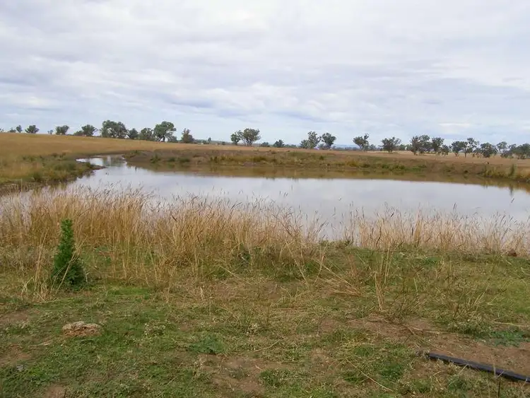Fourth view of Homely rural property listing, 92 Petoria Park Road, Delungra NSW 2403