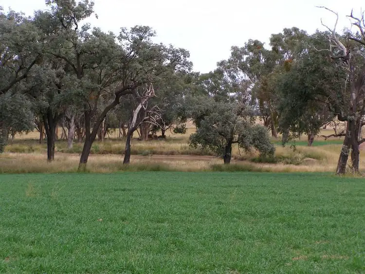 Fifth view of Homely rural property listing, 92 Petoria Park Road, Delungra NSW 2403