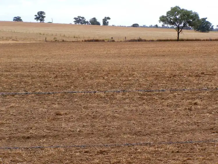 Seventh view of Homely rural property listing, 92 Petoria Park Road, Delungra NSW 2403