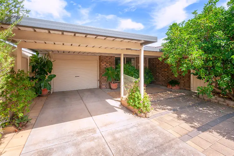 1A Marleston Avenue, Ashford SA 5035