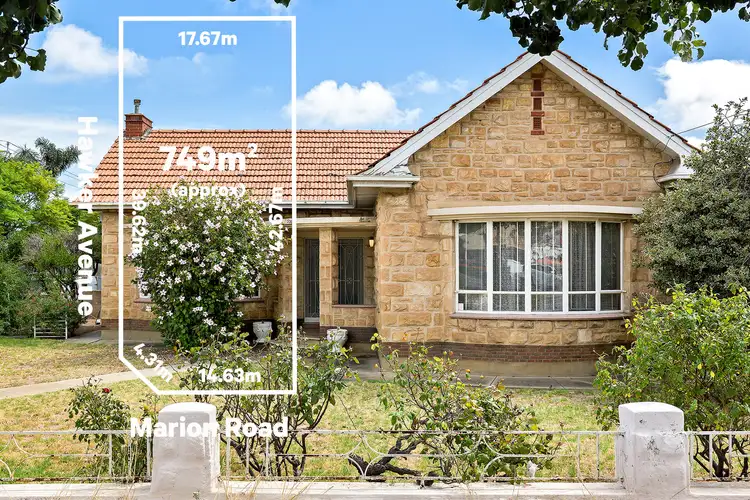 536 Marion Road, Plympton Park SA 5038