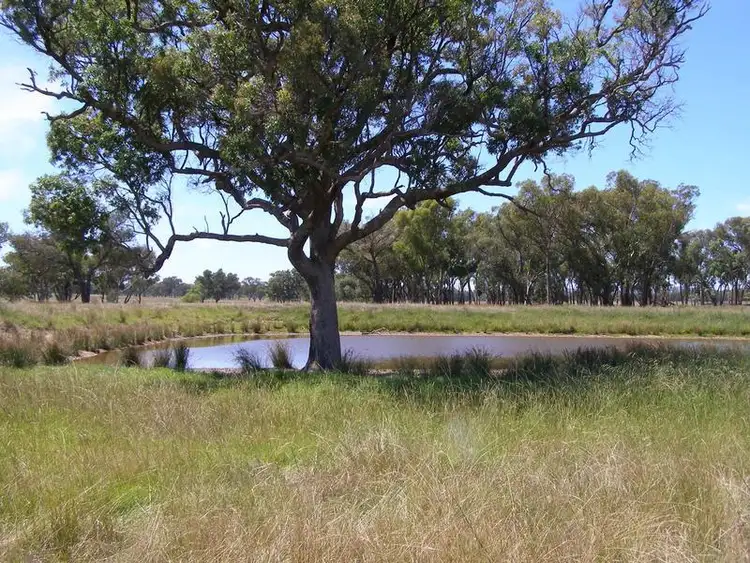Third view of Homely rural property listing, 1109 Howell Road, Inverell NSW 2360