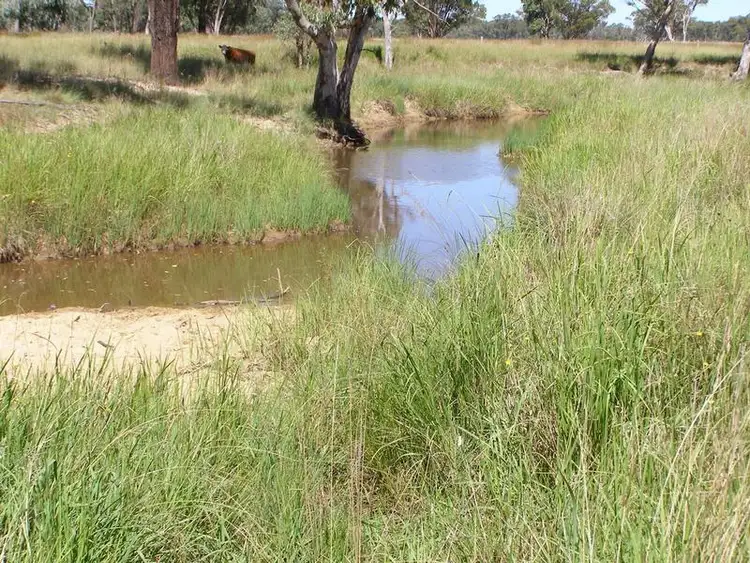 Fourth view of Homely rural property listing, 1109 Howell Road, Inverell NSW 2360