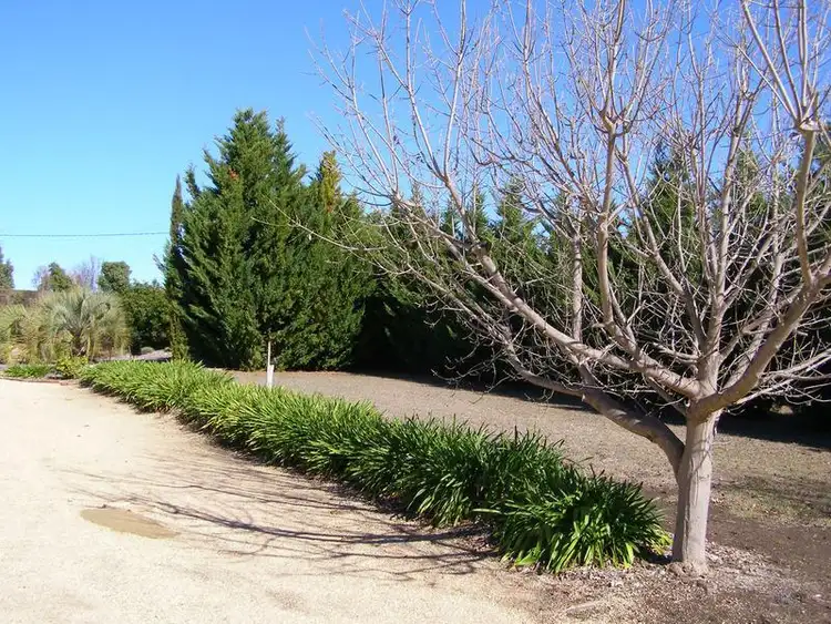 Seventh view of Homely house listing, 48 Hampton Court, Inverell NSW 2360