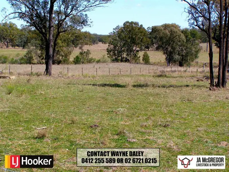 Main view of Homely rural property listing, 1590 Oregan Road, Warialda NSW 2402