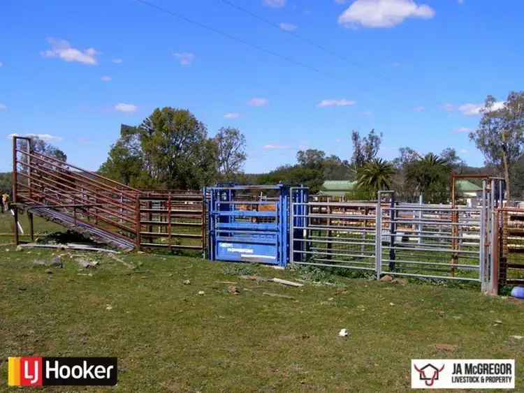 Fourth view of Homely rural property listing, 1590 Oregan Road, Warialda NSW 2402