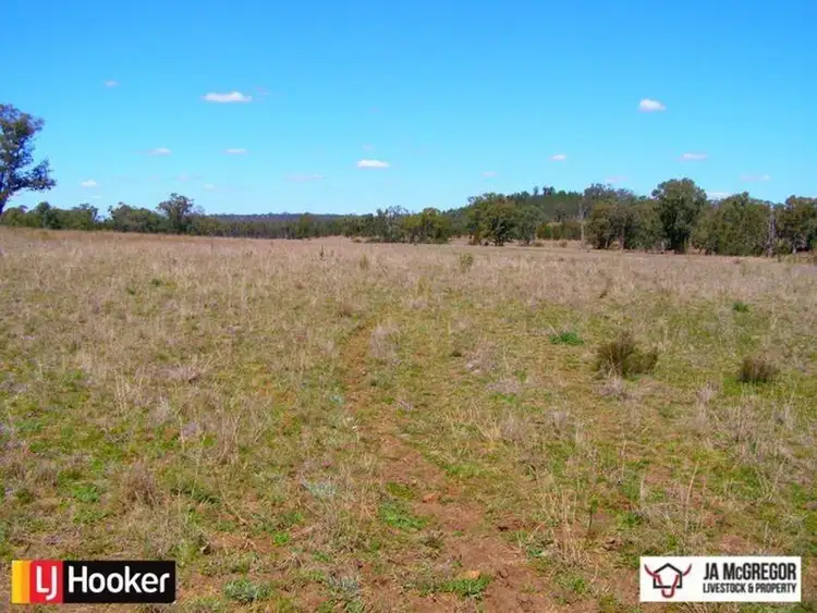 Sixth view of Homely rural property listing, 1590 Oregan Road, Warialda NSW 2402
