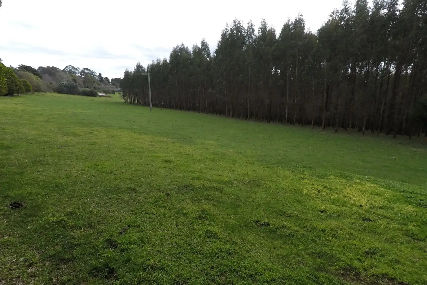 Main view of Homely rural property listing, 1115 Boolarra South - Mirboo North Road, Mirboo VIC 3871