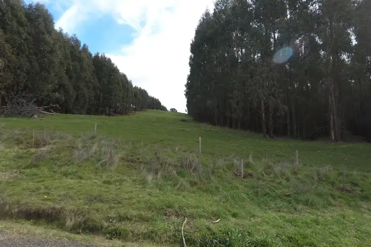 Fourth view of Homely rural property listing, 1115 Boolarra South - Mirboo North Road, Mirboo VIC 3871