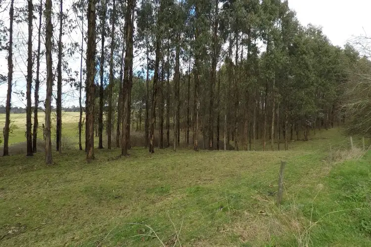 Fifth view of Homely rural property listing, 1115 Boolarra South - Mirboo North Road, Mirboo VIC 3871