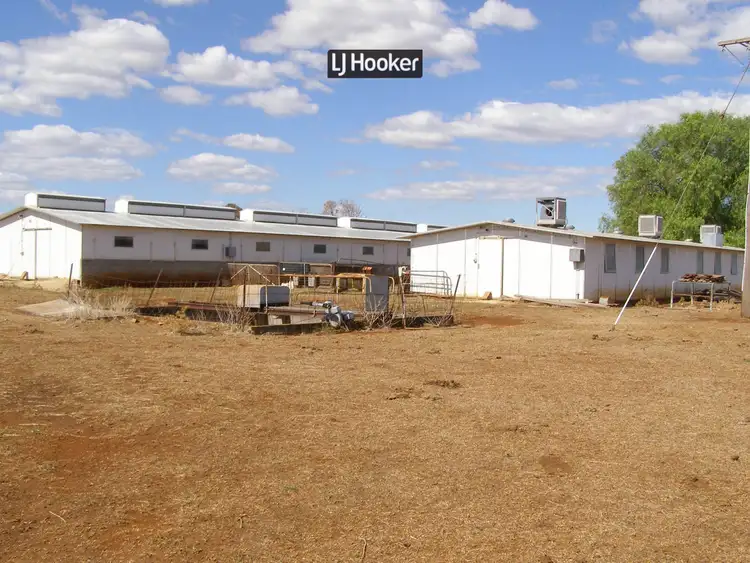 500 Havilah Park Road, Inverell NSW 2360