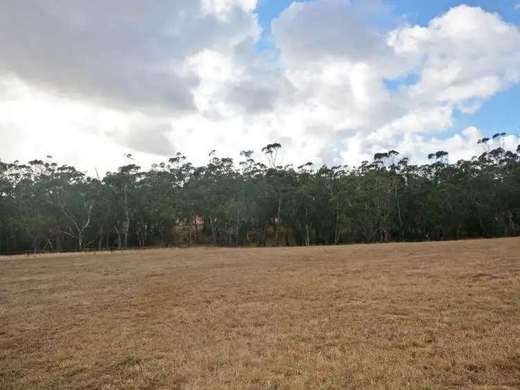 Second view of Homely rural property listing, 92 Berrys Road, Bolwarra VIC 3305