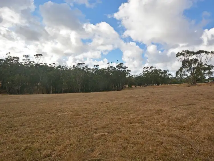 Third view of Homely rural property listing, 92 Berrys Road, Bolwarra VIC 3305