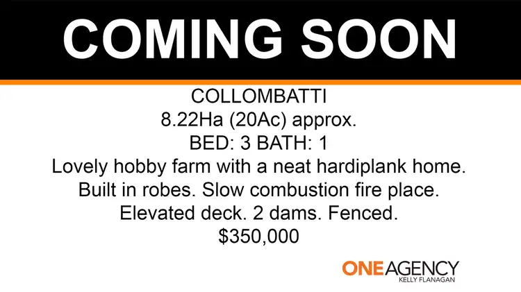 Second view of Homely rural property listing, 1333 Collombatti Road, Collombatti NSW 2440