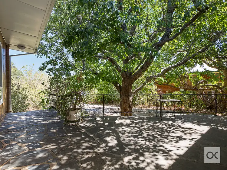 Fifth view of Homely house listing, 19 Vancouver Avenue, Panorama SA 5041