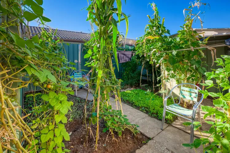 Seventh view of Homely unit listing, 2/1 Rattray Avenue, Wodonga VIC 3690