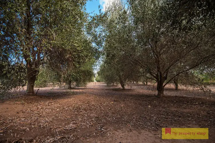 Fifth view of Homely land listing, 64 Henry Bayly Drive, Mudgee NSW 2850
