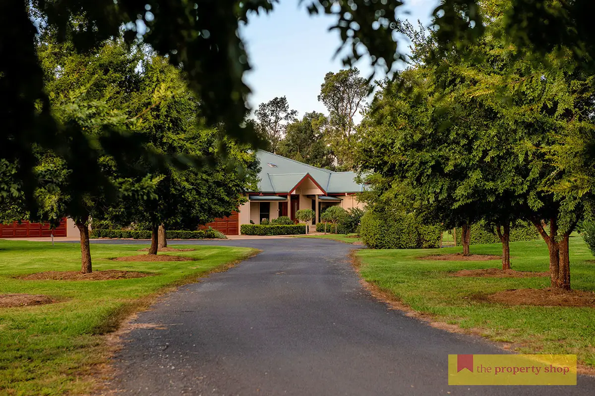 Main view of Homely rural property listing, 139 Castlereagh Highway, Mudgee NSW 2850