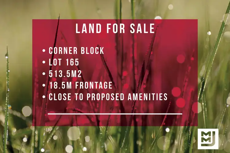 LOT 165 Wongawilli Road, Wongawilli NSW 2530