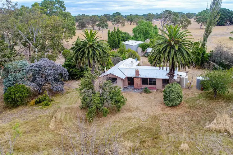 Main view of Homely rural property listing, 16600 Riddoch Highway, Penola SA 5277