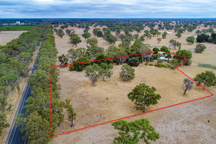 Second view of Homely rural property listing, 16600 Riddoch Highway, Penola SA 5277