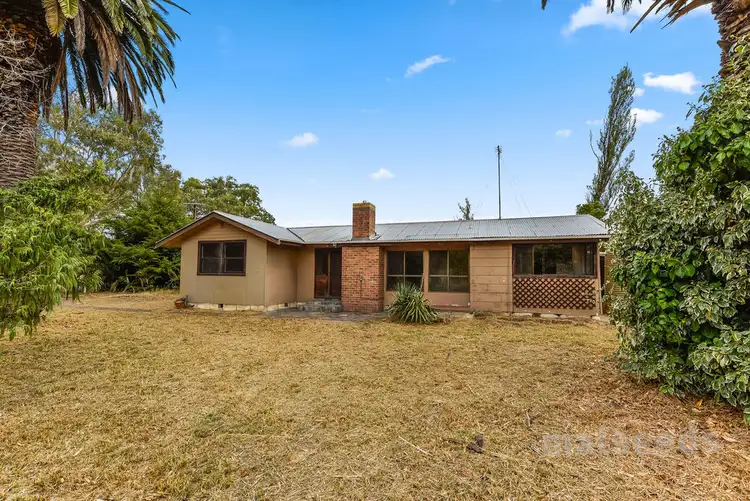 Third view of Homely rural property listing, 16600 Riddoch Highway, Penola SA 5277