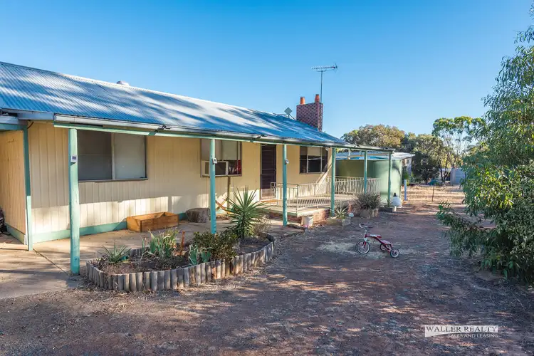 Second view of Homely house listing, 11 Wills Street, Baringhup VIC 3463