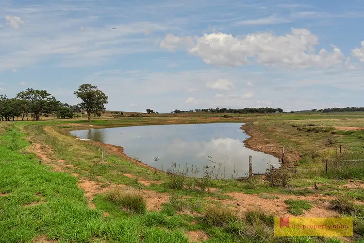 Fifth view of Homely rural property listing, 124 Snakes Creek Road, Mudgee NSW 2850