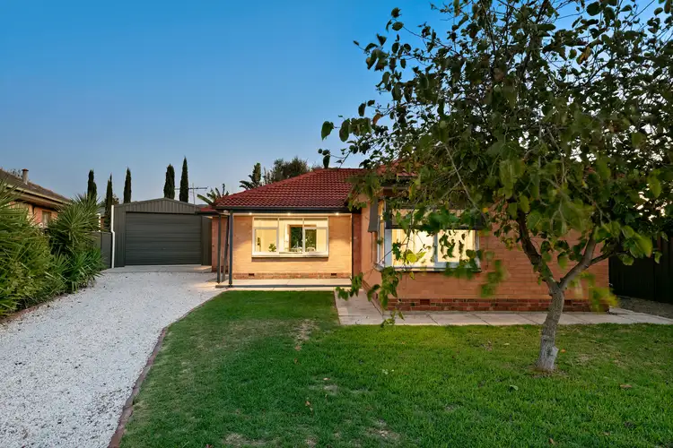 8 Terra Avenue, Mitchell Park SA 5043