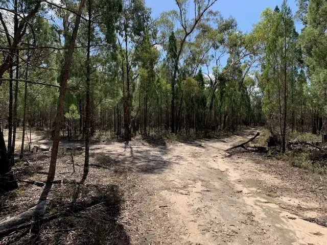 Fourth view of Homely rural property listing, 1429 Spring Creek Road, Mudgee NSW 2850