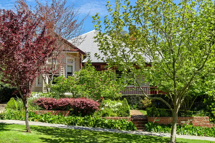 Second view of Homely house listing, 12 Suffolk Road, Surrey Hills VIC 3127