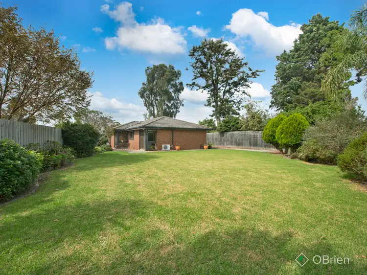 Main view of Homely house listing, 11 Irene Court, Chelsea VIC 3196