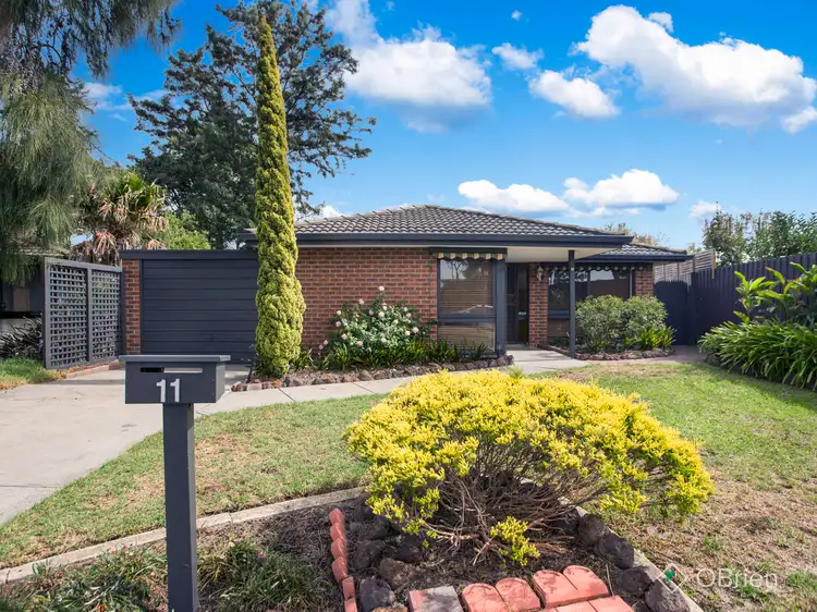 Second view of Homely house listing, 11 Irene Court, Chelsea VIC 3196