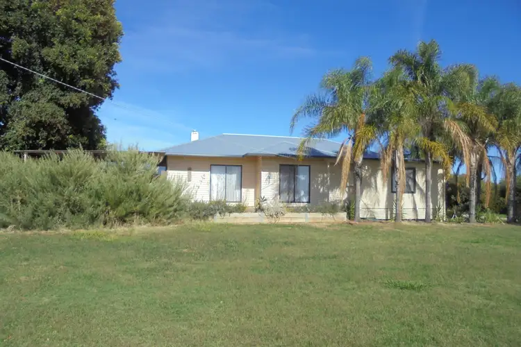 Main view of Homely rural property listing, 220 Darwin Road, Robinvale VIC 3549