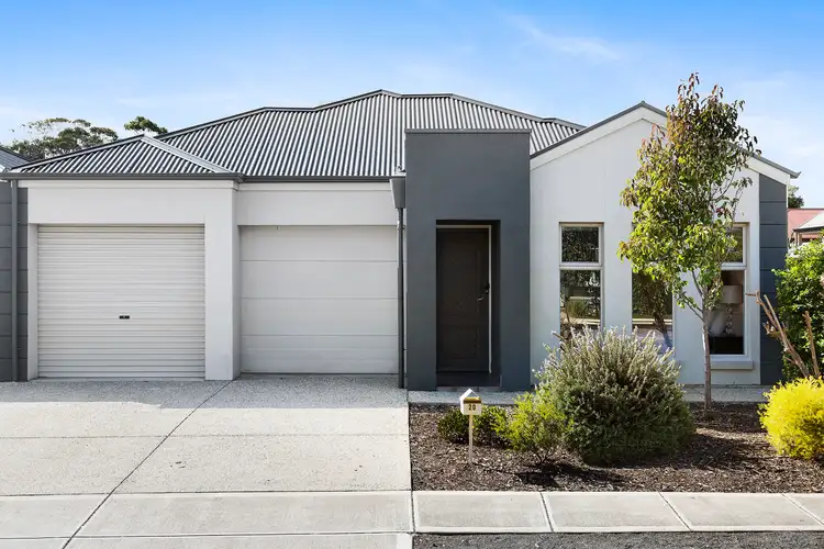 20 Parsons Grove, Park Holme SA 5043
