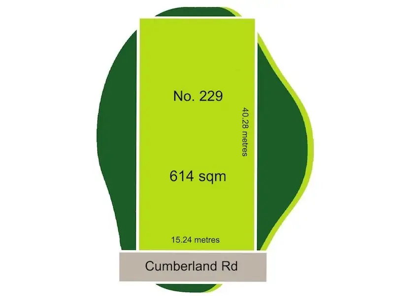 Main view of Homely house listing, 229 Cumberland Road, Auburn NSW 2144