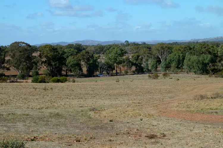 Main view of Homely rural property listing, Lot 20 Boort-Wedderburn Road, Wedderburn VIC 3518