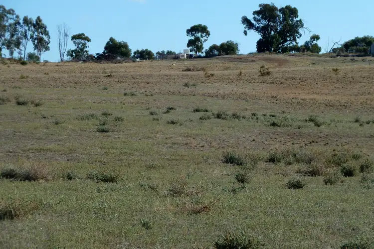 Third view of Homely rural property listing, Lot 20 Boort-Wedderburn Road, Wedderburn VIC 3518
