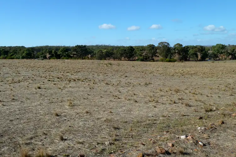 Fourth view of Homely rural property listing, Lot 20 Boort-Wedderburn Road, Wedderburn VIC 3518