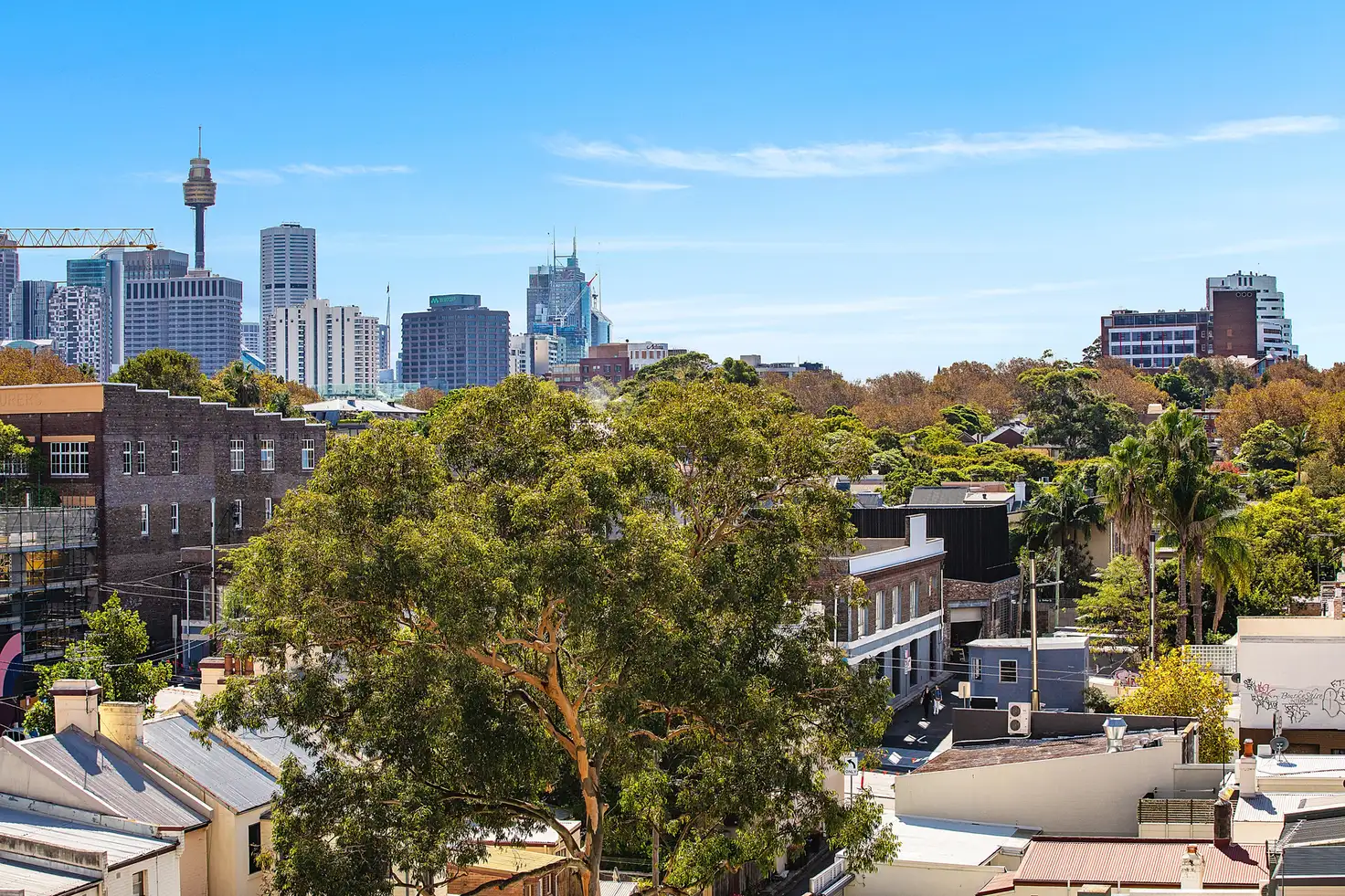 Main view of Homely apartment listing, 56/679 Bourke Street, Surry Hills NSW 2010