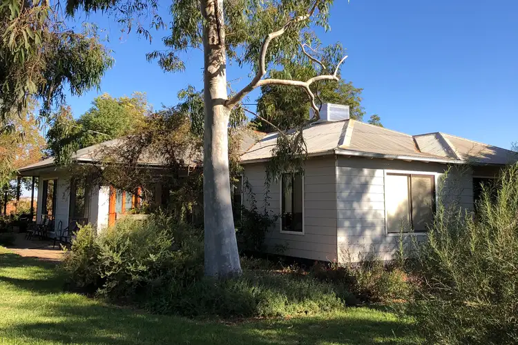 Main view of Homely rural property listing, 490 Anzac Road, Robinvale VIC 3549
