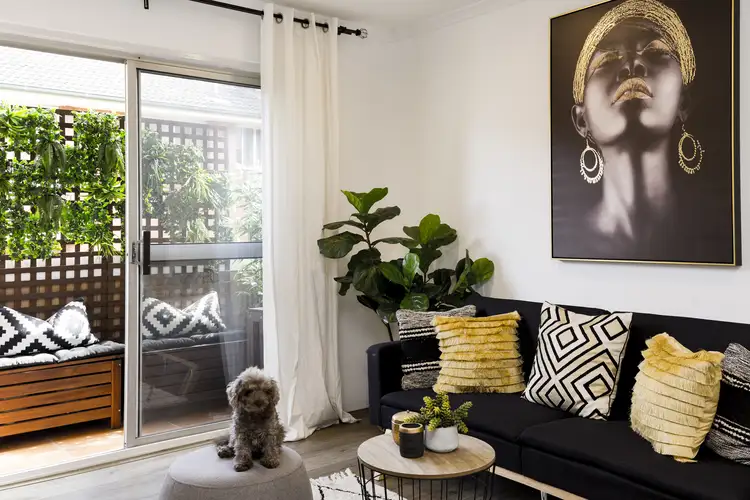 7/520 Mowbray Road, Lane Cove NSW 2066