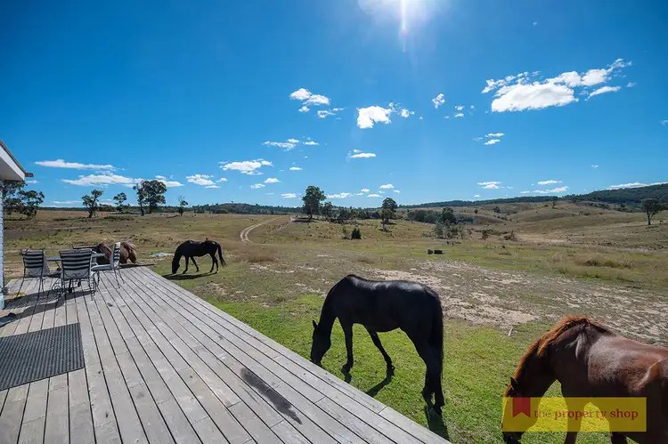 Seventh view of Homely rural property listing, 1483 Bocoble Road, Mudgee NSW 2850